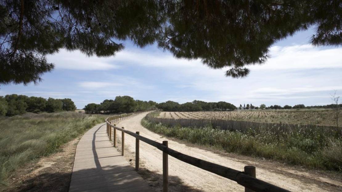 Nueva construcción  - Chalet - Torrevieja - Parque Acuático - Sector 25