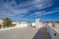 Nueva construcción  - Chalet - Torrevieja - Torrevieja Centro
