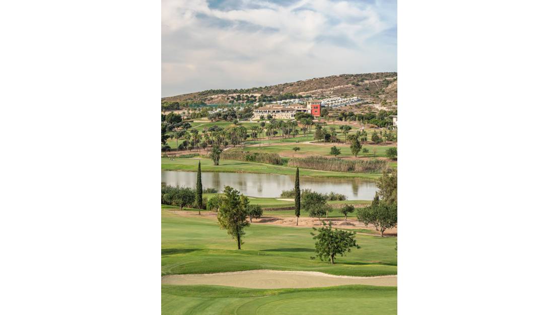 Nueva construcción  - Detached Villa - Algorfa