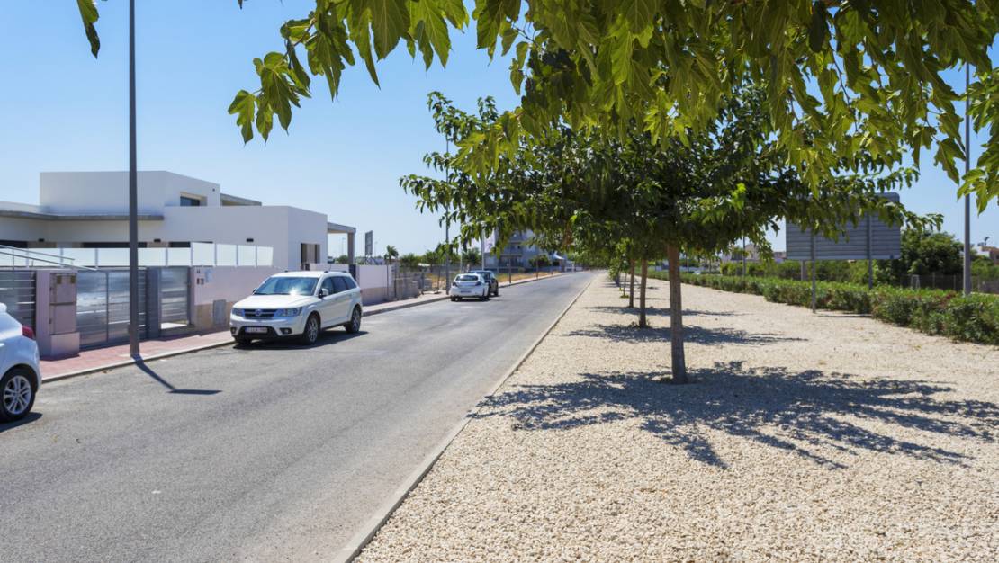 Nueva construcción  - Town House - Daya Nueva - Daya Nueva Centro