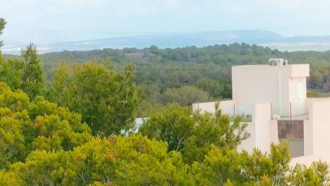 Nueva construcción  - Town House - Orihuela - Villamartin