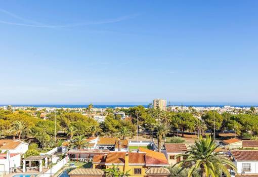 Penthouse - Sale - Torrevieja - Estacion de autobuses