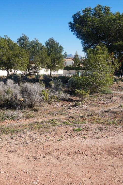 Plot - Sale - La Nucía - La Nucía