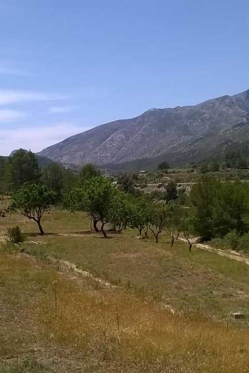 Plot - Venta - Benissa - Benissa