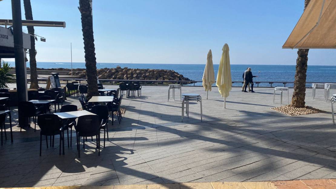 Rental - Apartment/Flat - Torrevieja