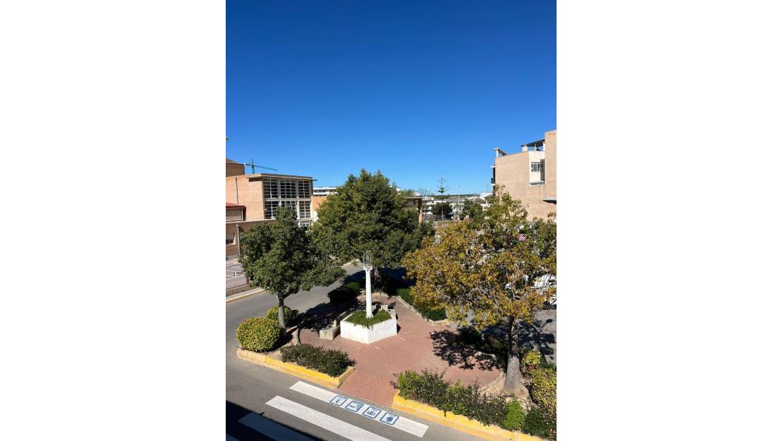 Rental - Commercial property - San Miguel de Salinas