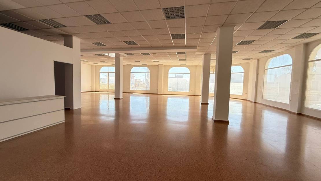 Rental - Commercial - San Miguel de Salinas