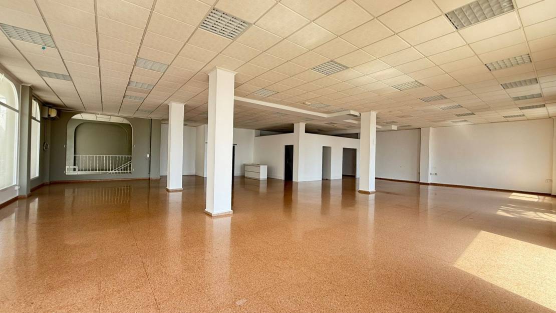 Rental - Commercial - San Miguel de Salinas