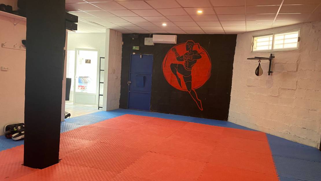 Rental - Commercial - San Miguel de Salinas