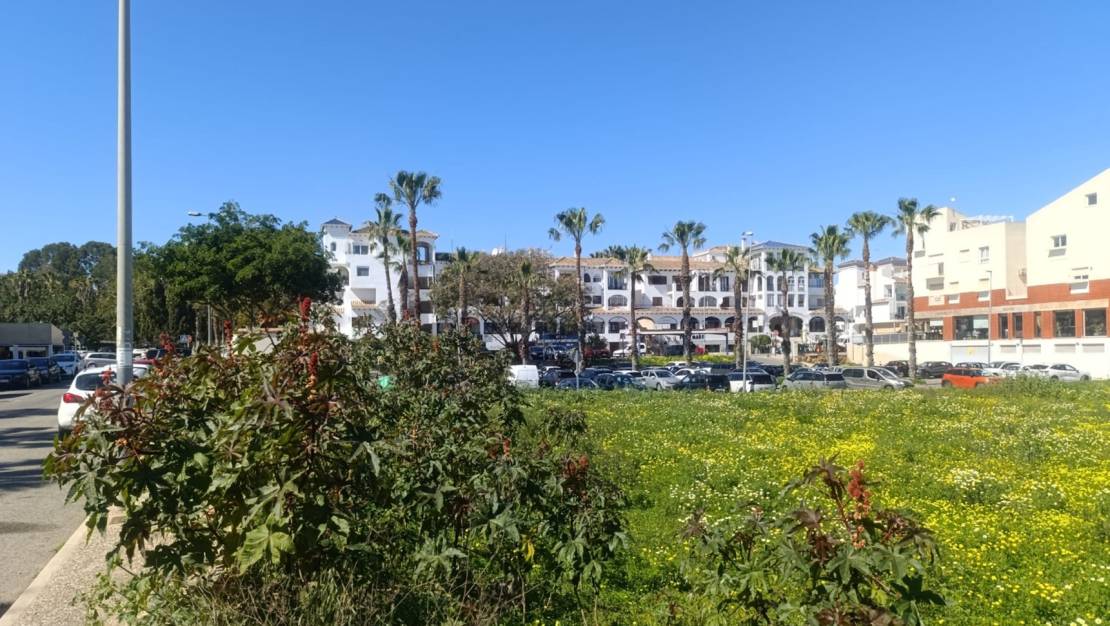 Rental - Garage - Orihuela - Villamartin