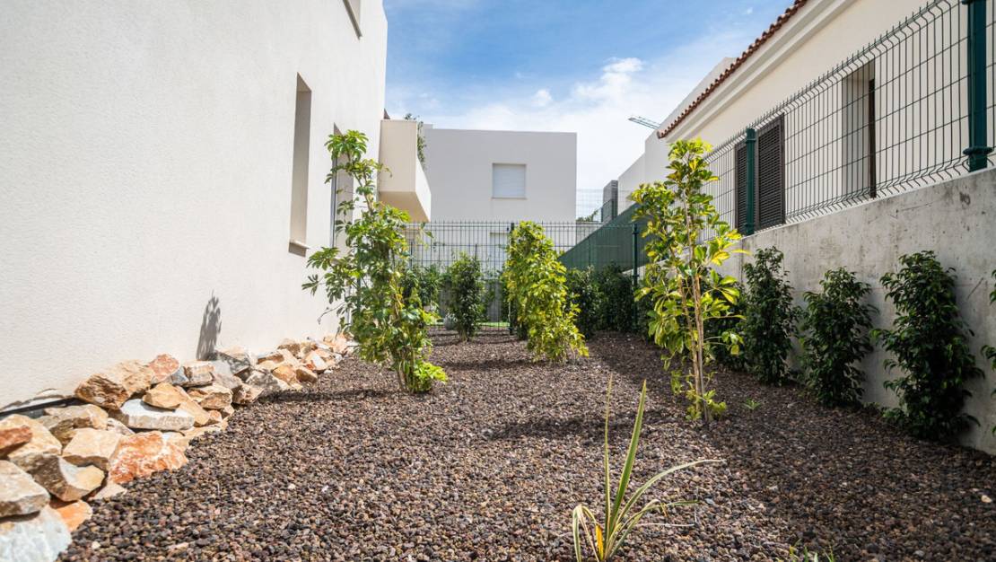 Sale - Apartment - Algorfa - Algorfa Centro