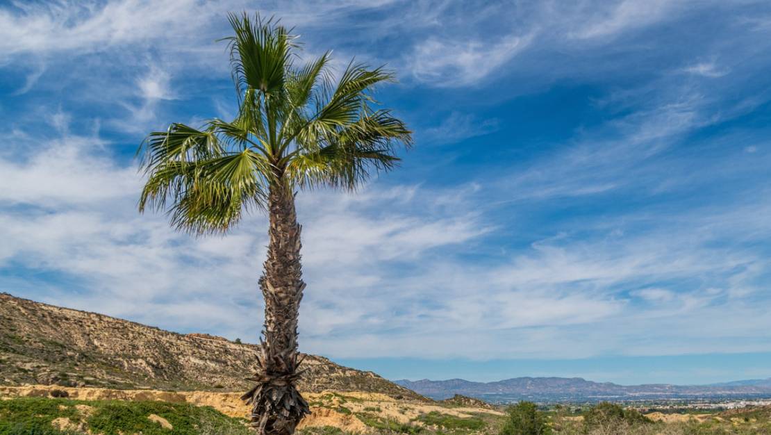 Sale - Apartment - Algorfa - Algorfa Centro