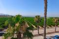 Sale - Apartment - Algorfa - Algorfa Centro