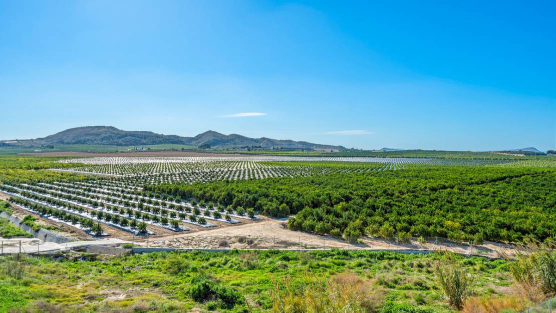 Sale - Apartment - Algorfa - Algorfa Centro