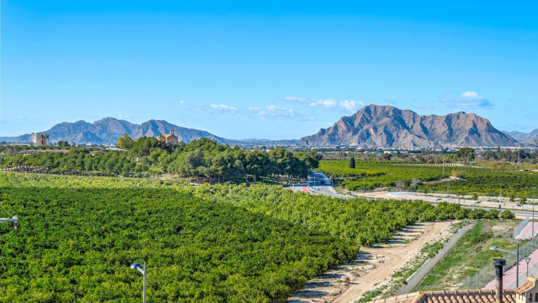 Sale - Apartment - Algorfa - Algorfa Centro