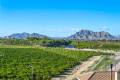 Sale - Apartment - Algorfa - Algorfa Centro