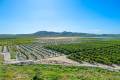 Sale - Apartment - Algorfa - Algorfa Centro