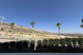 Sale - Apartment - Algorfa - La finca golf