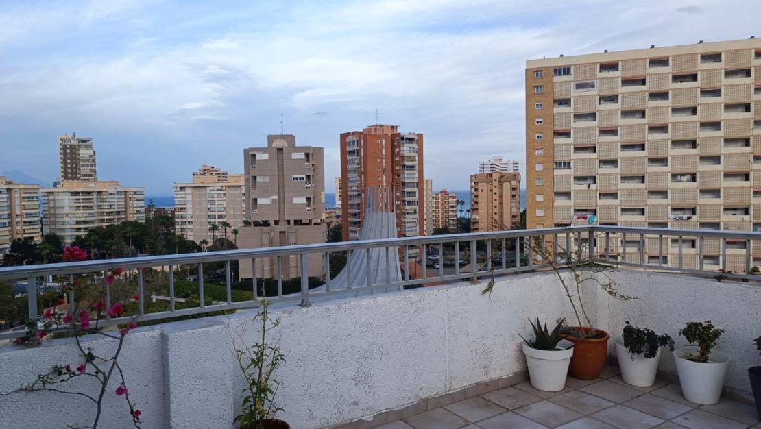Sale - Apartment - Alicante - Alicante Centro