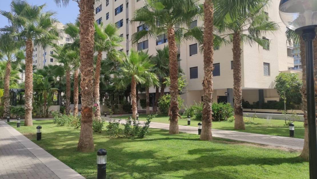 Sale - Apartment - Alicante - Alicante Centro