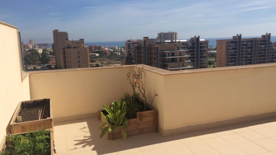 Sale - Apartment - Alicante - Alicante Centro