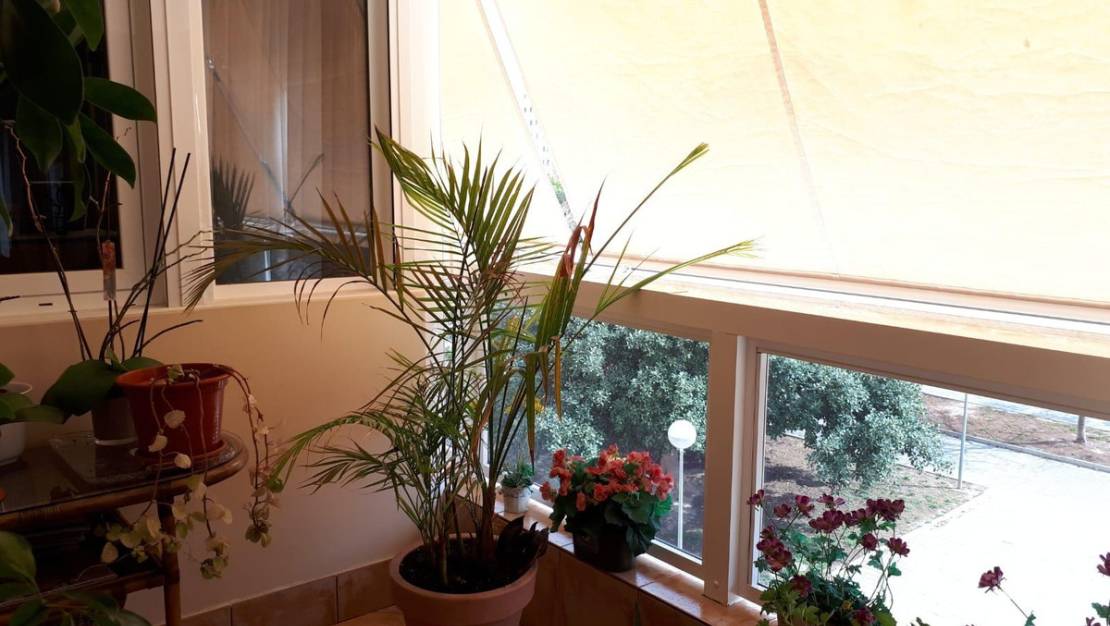 Sale - Apartment - Alicante - Alicante Centro