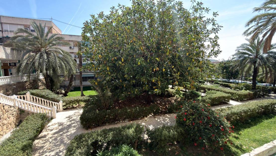 Sale - Apartment - Alicante - Alicante Centro