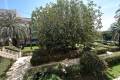 Sale - Apartment - Alicante - Alicante Centro