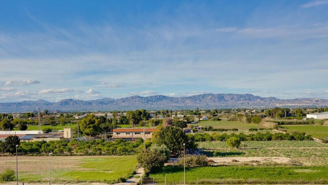 Sale - Apartment - Almoradí - Almoradi Centro