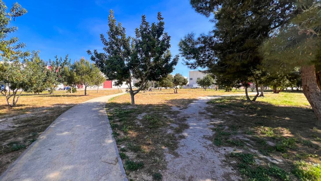 Sale - Apartment - Almoradí - Almoradi Centro