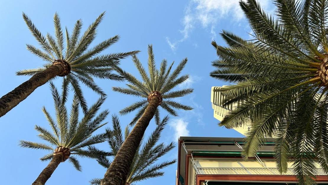 Sale - Apartment - Benidorm - Benidorm Centro