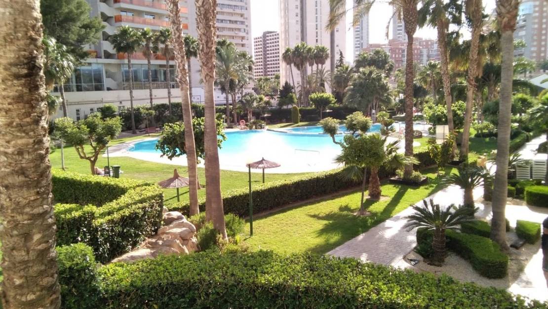 Sale - Apartment - Benidorm - Benidorm Centro
