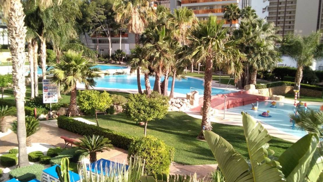 Sale - Apartment - Benidorm - Benidorm Centro