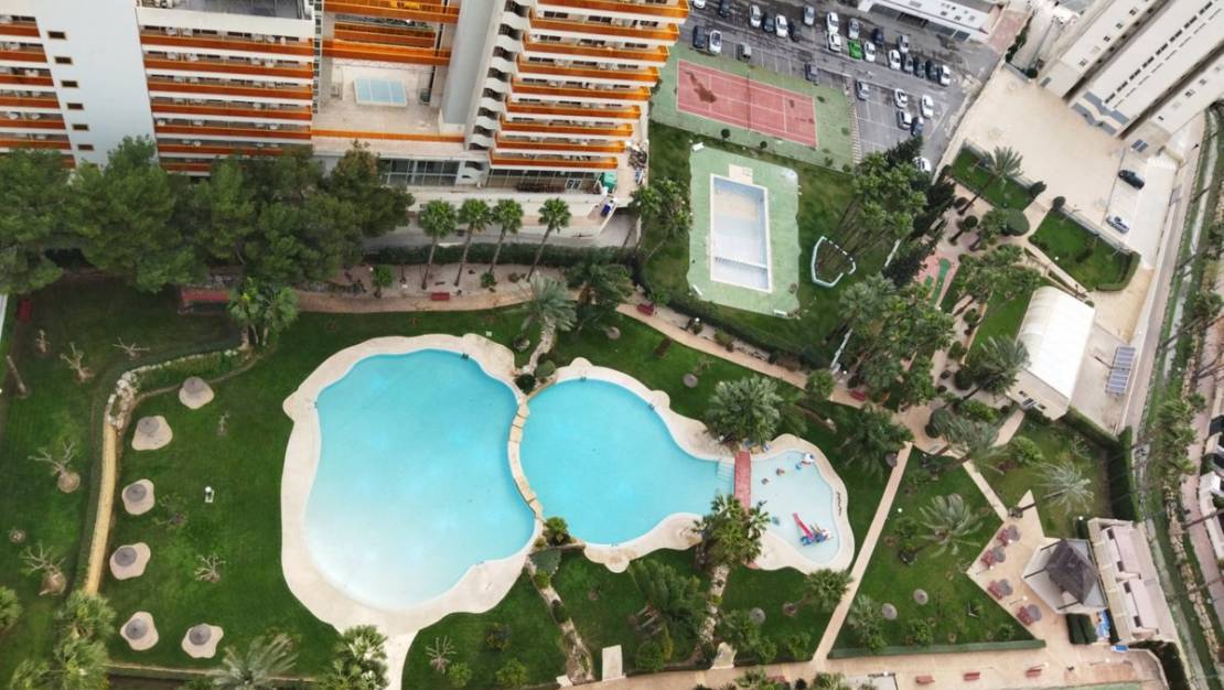 Sale - Apartment - Benidorm - Benidorm Centro