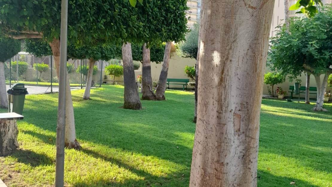 Sale - Apartment - Benidorm - Benidorm Centro