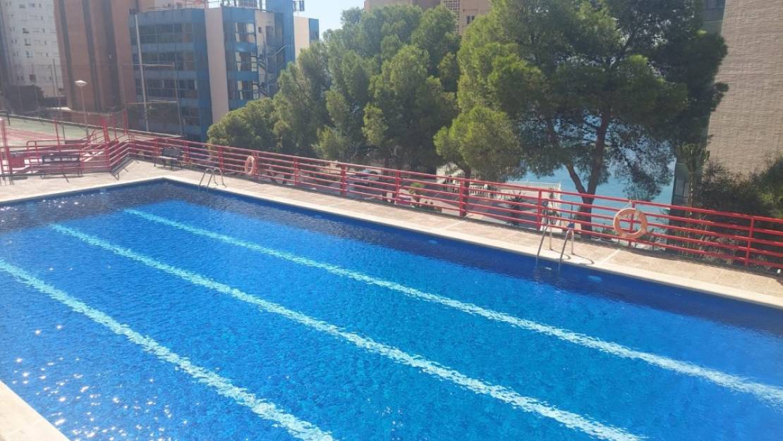 Sale - Apartment - Benidorm - Benidorm Centro