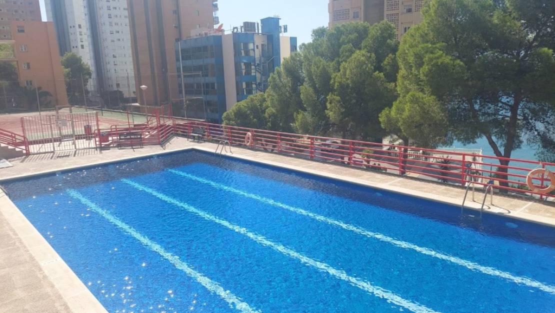 Sale - Apartment - Benidorm - Benidorm Centro