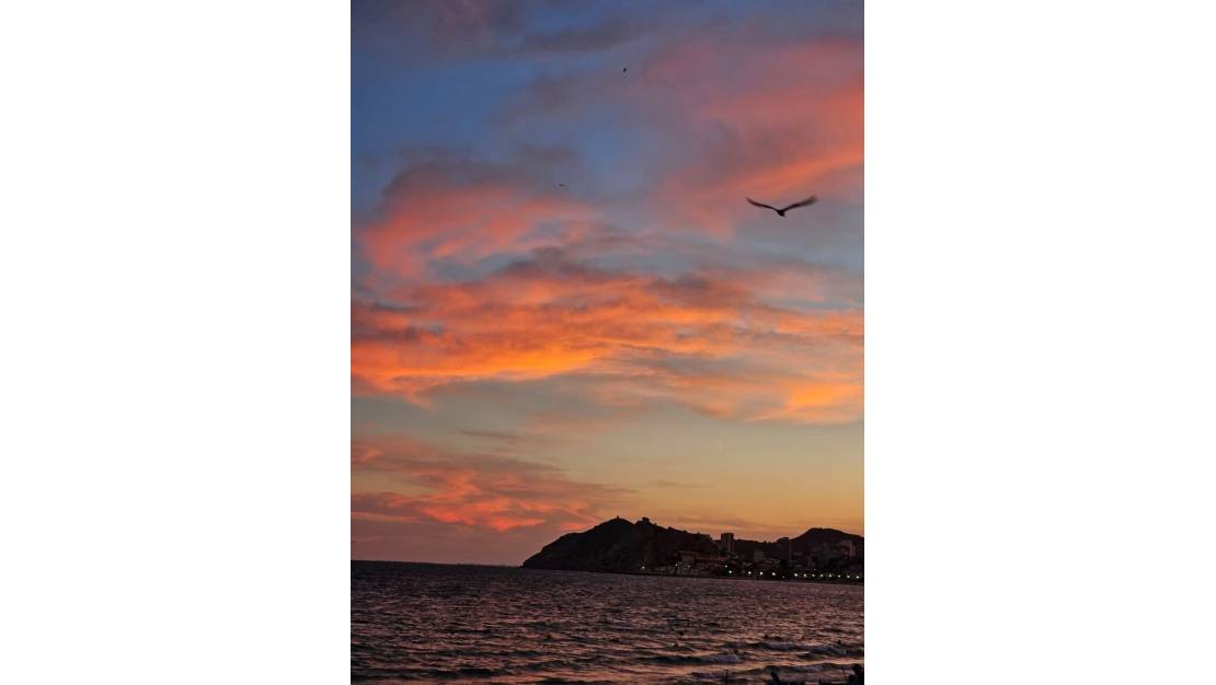 Sale - Apartment - Benidorm - Benidorm Centro