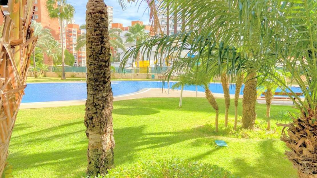 Sale - Apartment - Benidorm - Benidorm Centro