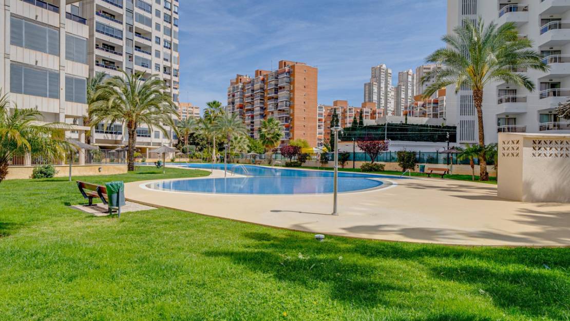 Sale - Apartment - Benidorm - Benidorm Centro