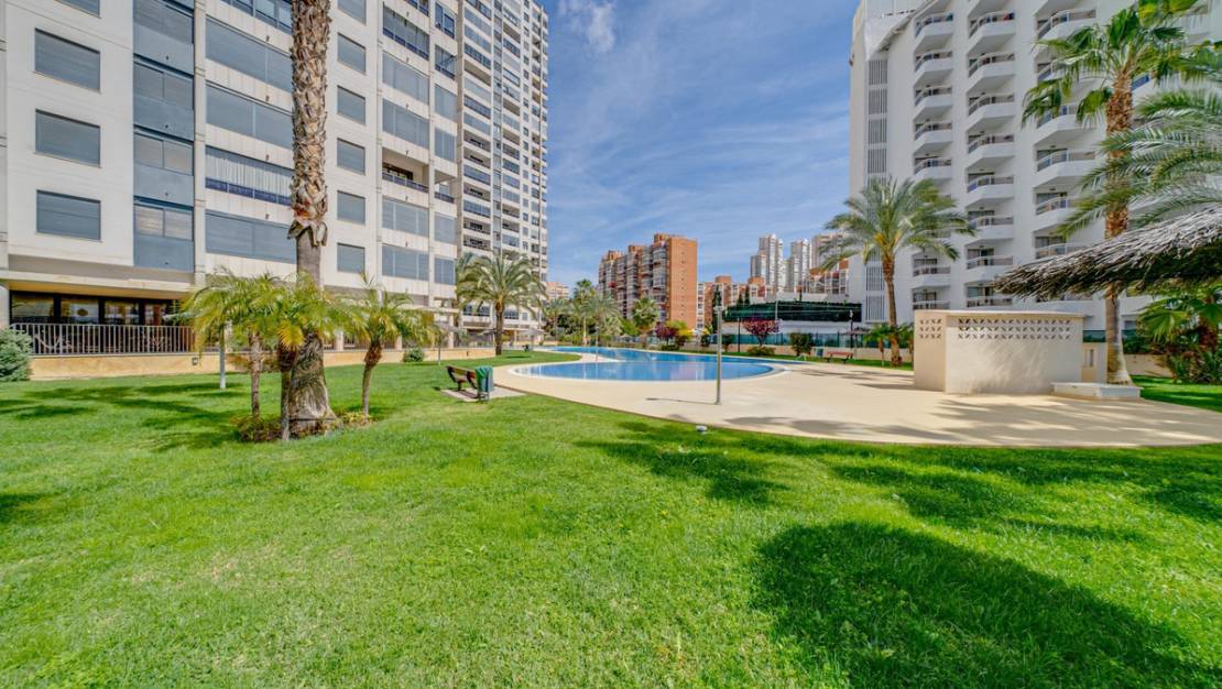 Sale - Apartment - Benidorm - Benidorm Centro