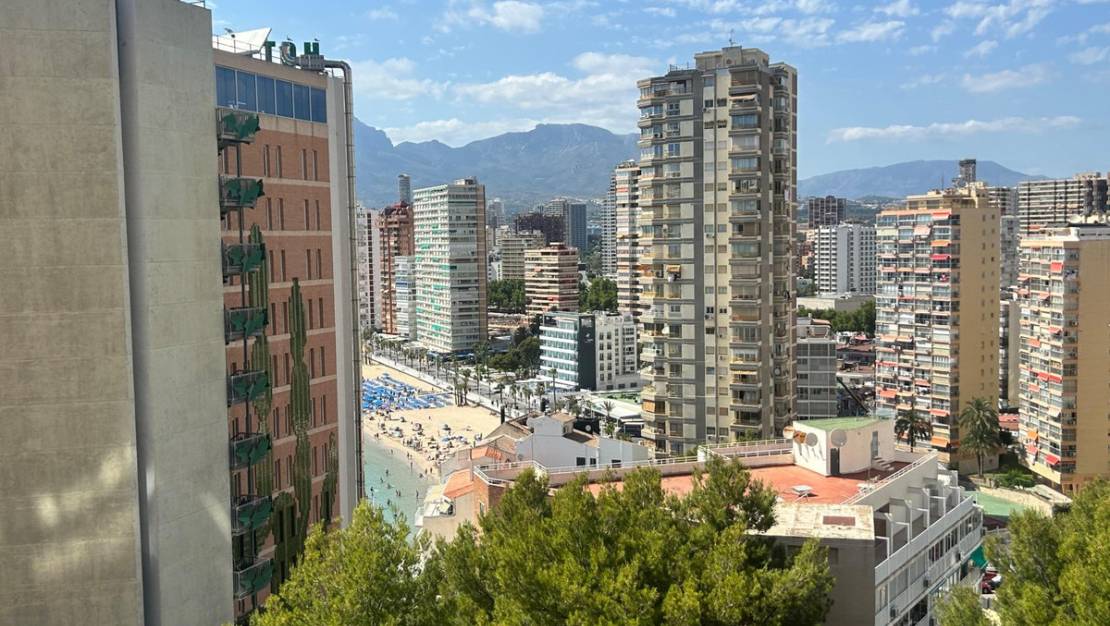 Sale - Apartment - Benidorm - Benidorm Centro