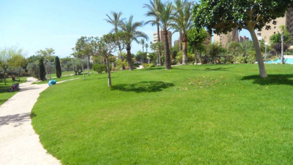 Sale - Apartment - Benidorm - Benidorm Centro
