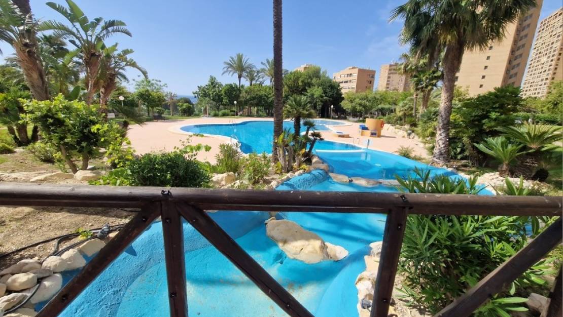 Sale - Apartment - Benidorm - Benidorm Centro