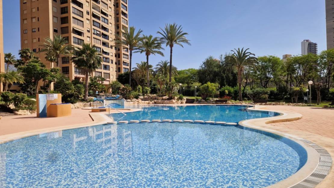 Sale - Apartment - Benidorm - Benidorm Centro