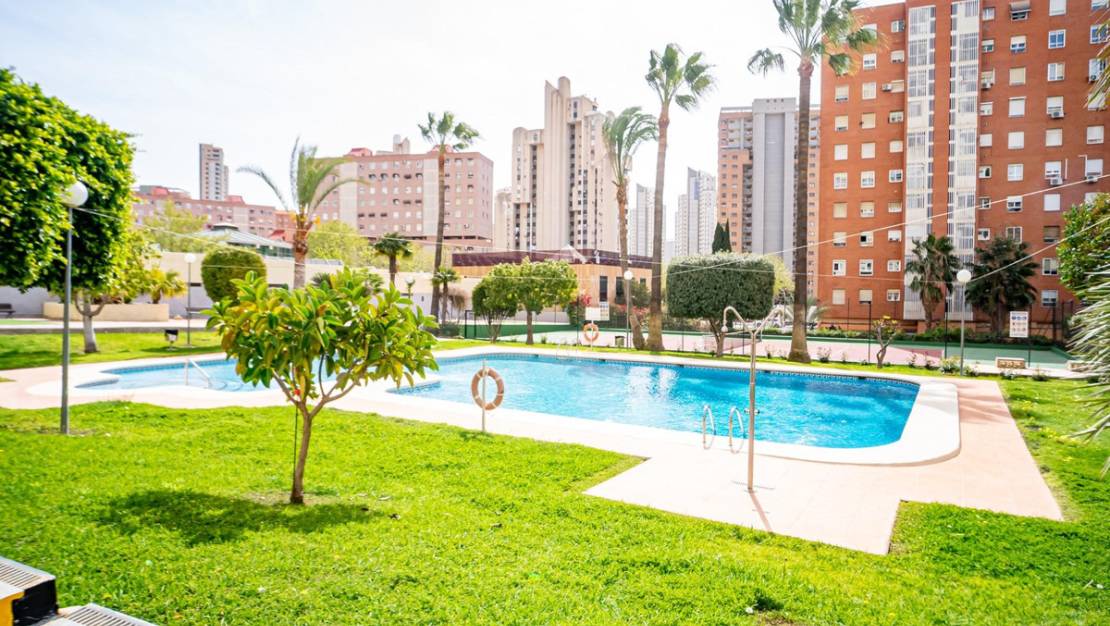 Sale - Apartment - Benidorm - Benidorm Centro