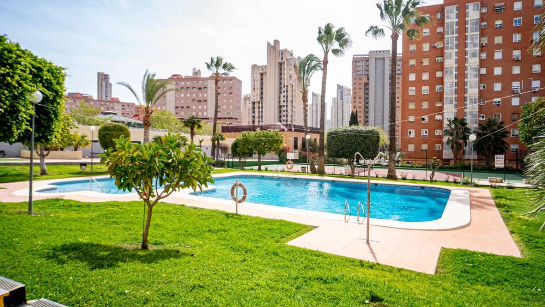 Sale - Apartment - Benidorm - Benidorm Centro