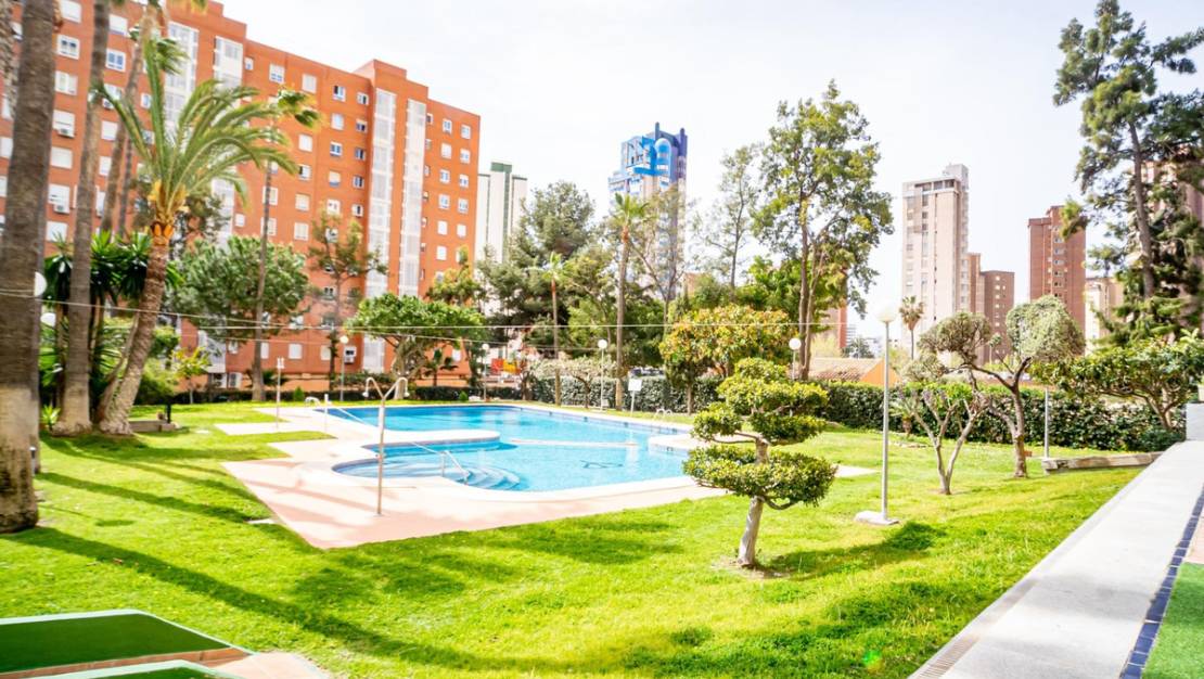 Sale - Apartment - Benidorm - Benidorm Centro