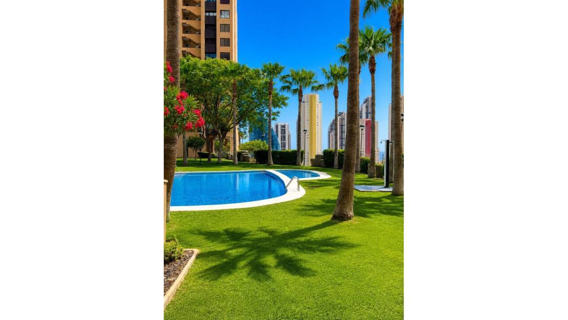 Sale - Apartment - Benidorm - Benidorm Centro