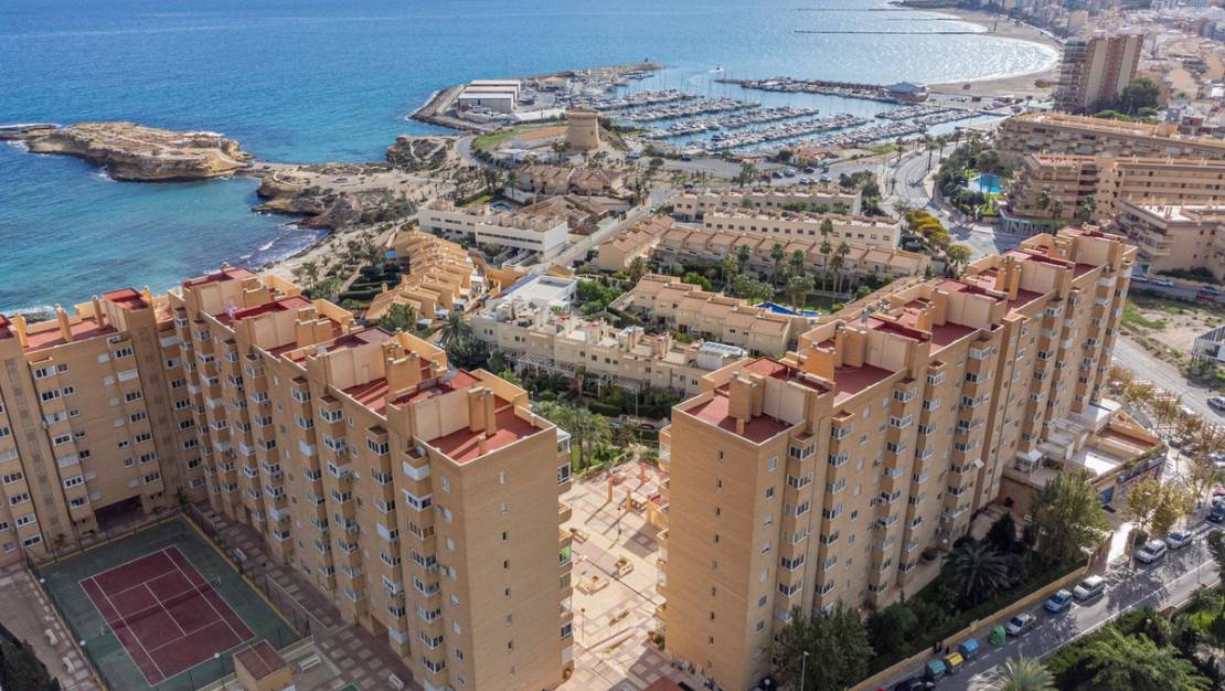 Sale - Apartment - Campello - El Campello - Campello - El Campello Centro